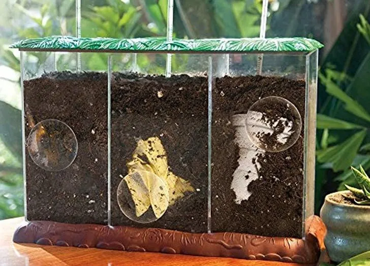Bac à compost transparent à trois compartiments pour les expériences scientifiques des enfants