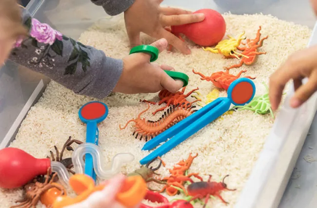 Enfants qui explorent un bac sensoriel rempli de riz, d'insectes jouets et de pelles